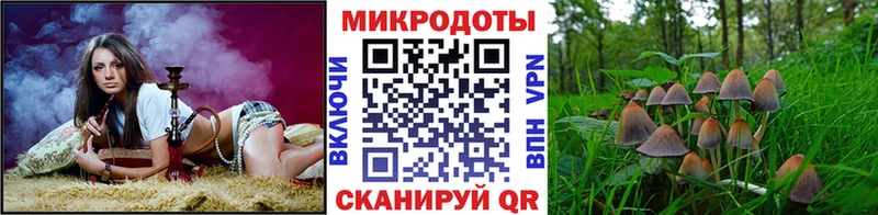 Купить Мариинский Посад Псилоцибиновые грибы Cubensis